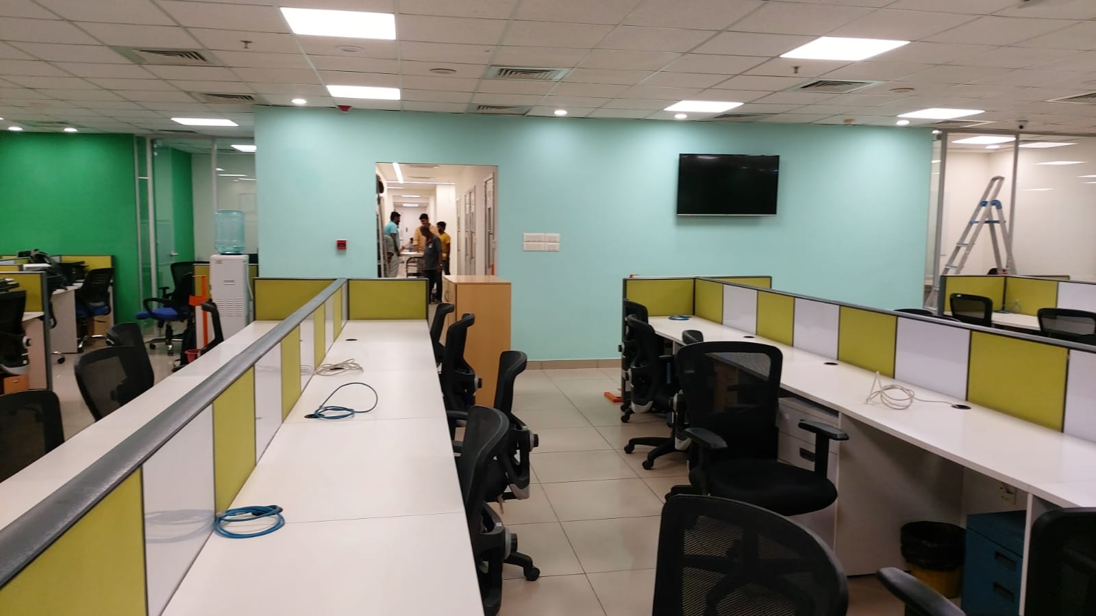 Wings Glass Wall Covering